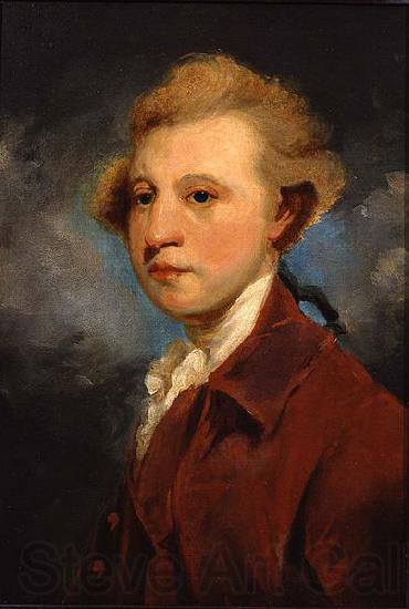 Sir Joshua Reynolds Portrait of William Ponsonby, 2nd Earl of Bessborough. Germany oil painting art